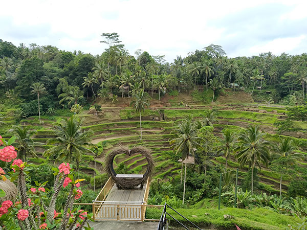 Tegalalang