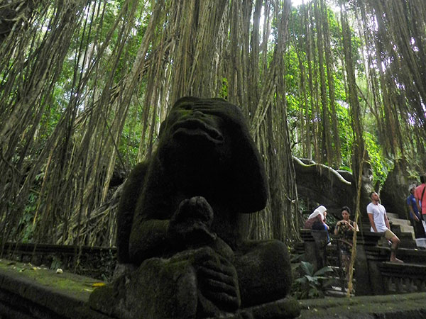 Monkey Forest