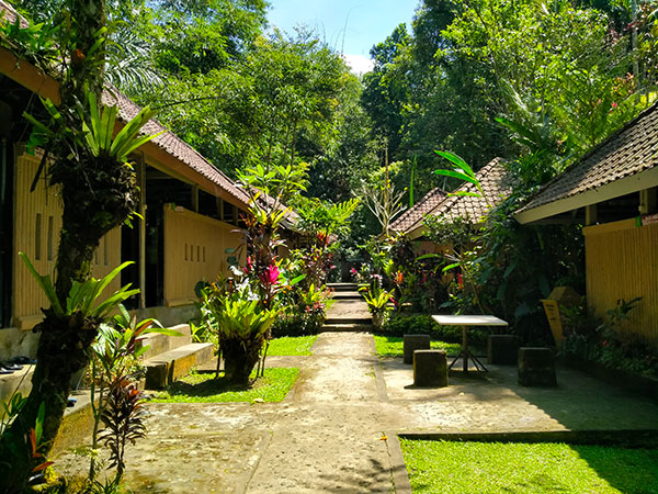 Angseri